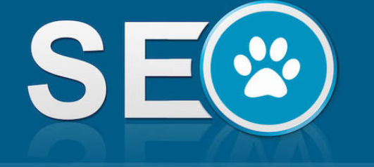 创业公司应该采用什么样的SEO对策? 创业公司应该采用什么样的SEO对策?