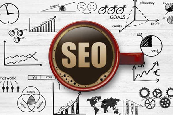 SEO成功案例真的能带动整个优化团队吗?
