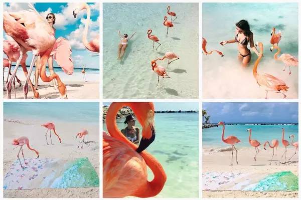 这才是优雅滴发朋友圈的正确姿势！