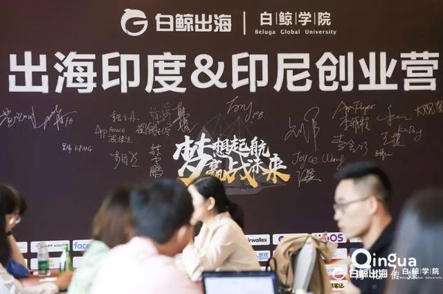 3大亮点回顾 白鲸出海营第II期圆满结束！