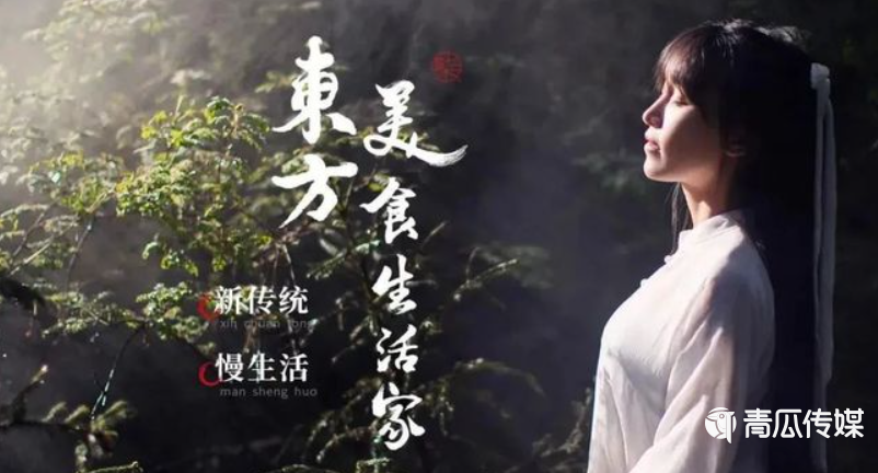 李子柒消失的64天