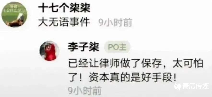 谁在“吞噬”李子柒？