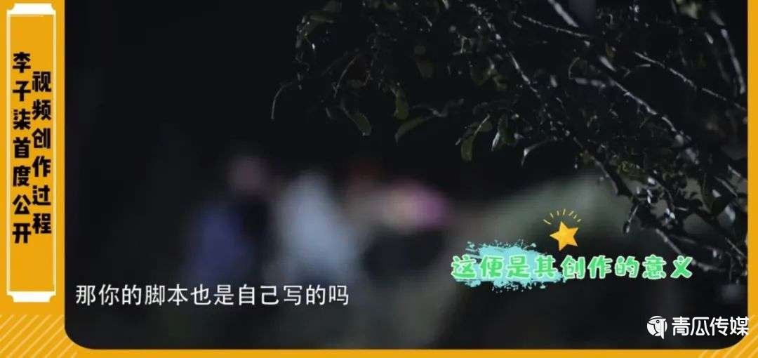 谁在“吞噬”李子柒？