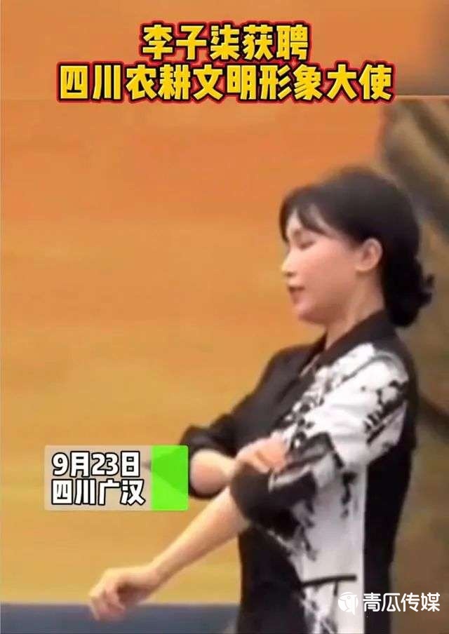 谁在“吞噬”李子柒？