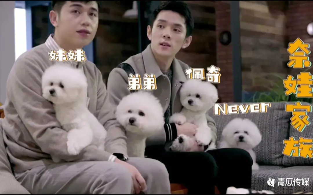 字节跳动不相信MCN