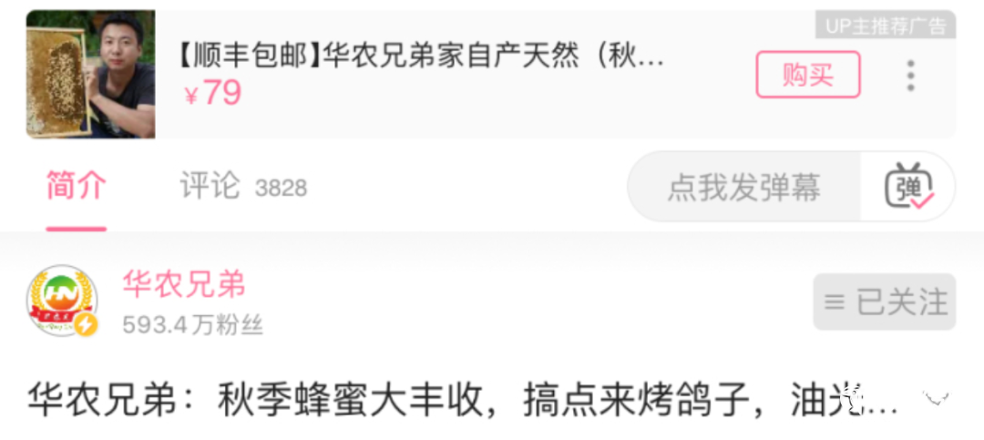 B站寻找第二条命