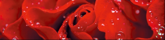 华豚G55破竹来袭,全网体验评测首发!