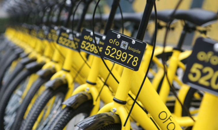 1499397836239355.jpg 20161223175007AdsfUuS0iNkzxhpI.jpg