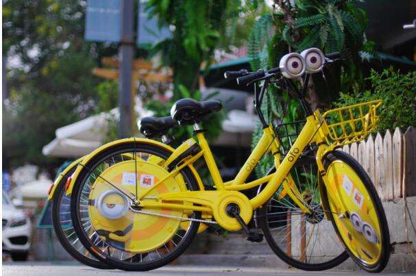 研究了ofo近半年动作,我们发现了这4类有趣的真相…