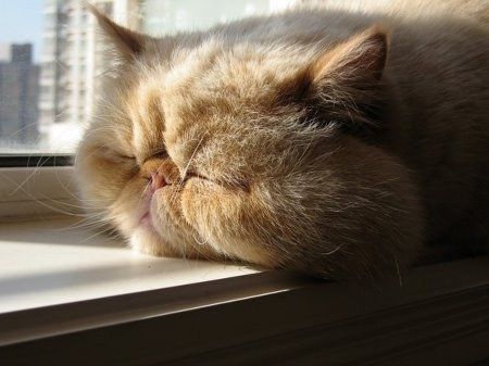 越来越多的人只显示三天朋友圈,这和貔貅有什么分别