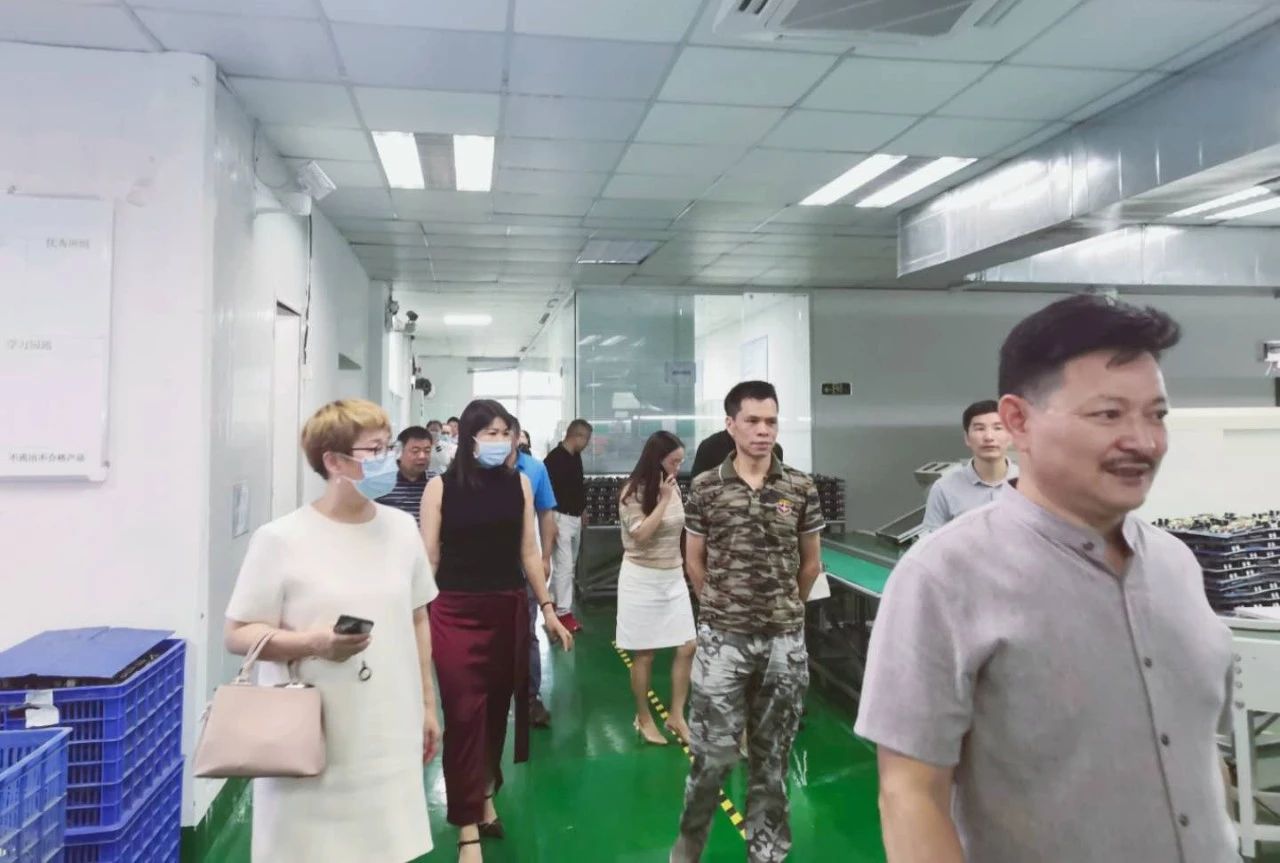 企业走访学先辈,易企服务促发展